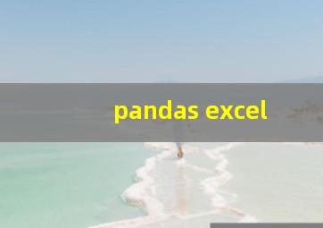 pandas excel